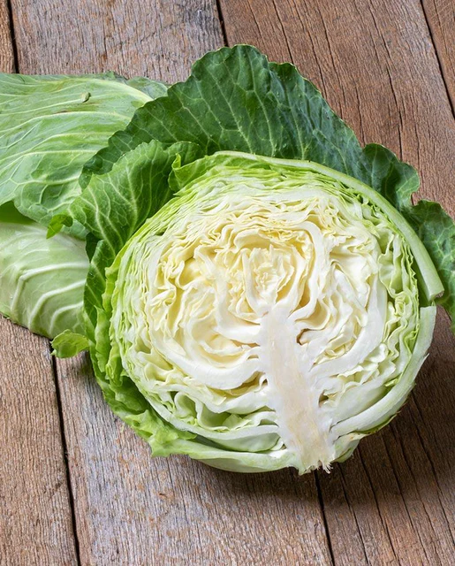 WCS Cabbage - Copenhagen Market