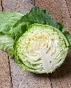 WCS Cabbage - Copenhagen Market