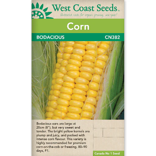 WCS Corn - Bodacious