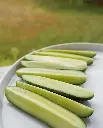 WCS Cucumbers - Anya