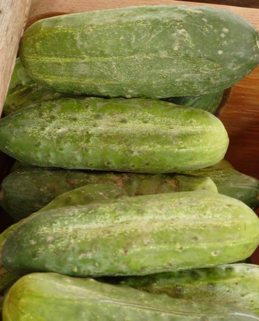 WCS Cucumbers - Homemade Pickles