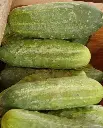 WCS Cucumbers - Homemade Pickles