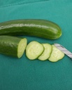 WCS Cucumbers - Mercury