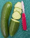 WCS Cucumbers - Mercury