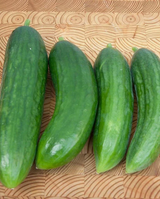 WCS Cucumbers - Mercury