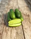 WCS Cucumbers - Mini-Me Certified Organic 
