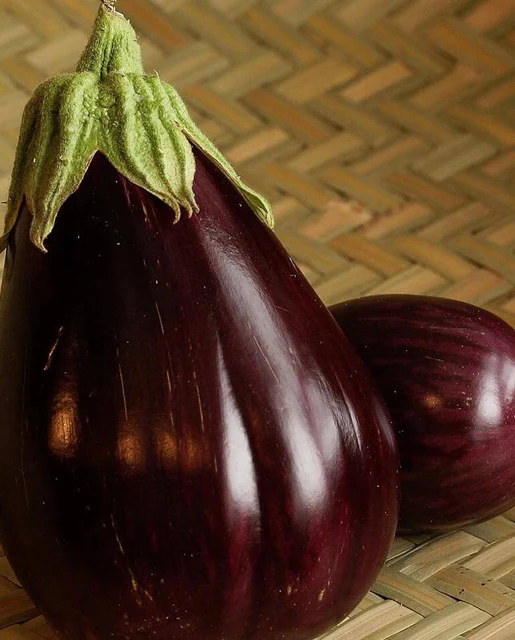 WCS Eggplants - Black Beauty Certified Organic