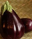 WCS Eggplants - Black Beauty Certified Organic