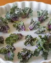 WCS Kale - Autumn Star Kalette 