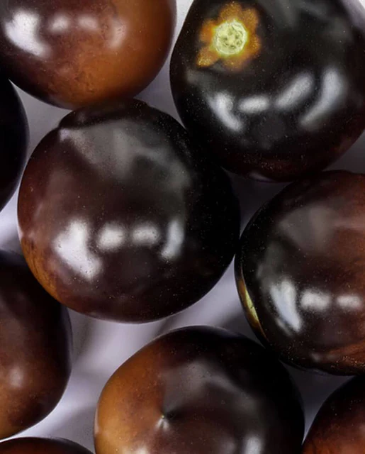 WCS Tomatoes - Indigo Rose Certified Organic
