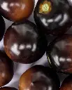 WCS Tomatoes - Indigo Rose Certified Organic