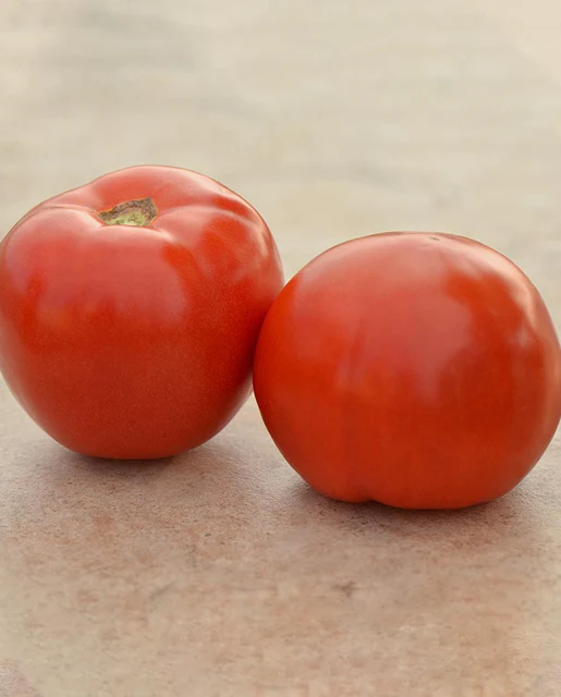 WCS Tomatoes - Roadster