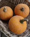 WCS Pumpkins - Winter Luxury Pie Certified Organic
