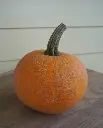 WCS Pumpkins - Winter Luxury Pie Certified Organic