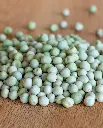 WCS Peas - Alaska