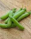 WCS Peas - Alaska