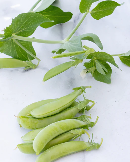 WCS Peas - Sugar Ann Certified Organic