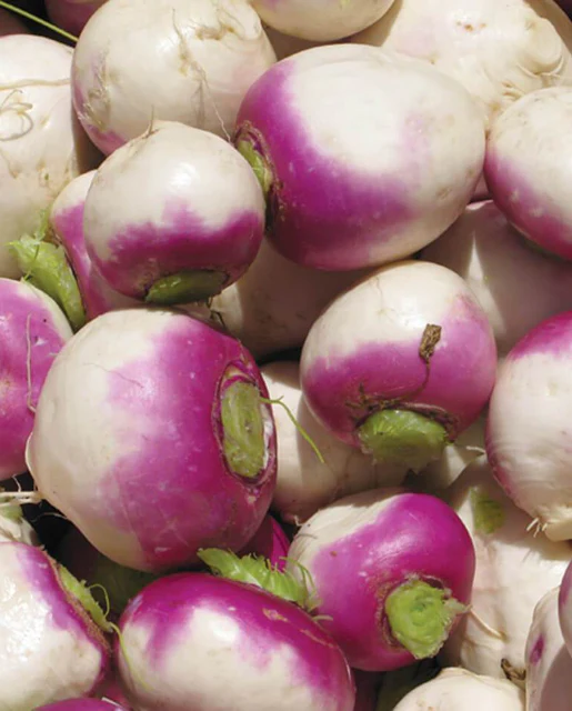 WCS Turnips - Purple Top White Globe