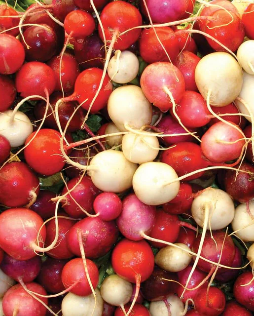 WCS Radishes - Easter Egg II
