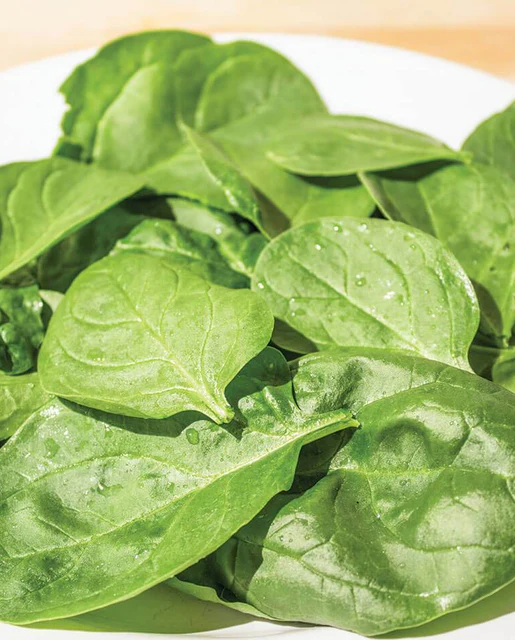 WCS Spinach - Yukon