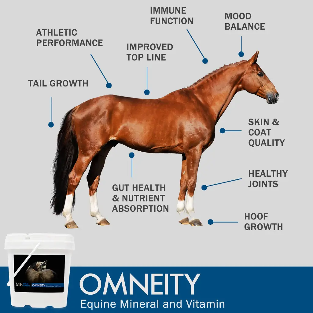 MadBarn- Omneity - Equine Mineral and Vitamin Premix (5kg pail)
