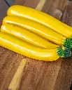 WCS Squash - Goldy Certified Organic