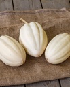 WCS Squash - Mashed Potatoes 
