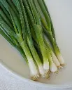 WCS Onion - Fukagawa