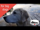 Boreal Dog Healthy Grains Large Breed Red Meat 13.6kg
