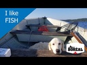 Boreal Dog Proper Ocean Fish 11.33kg