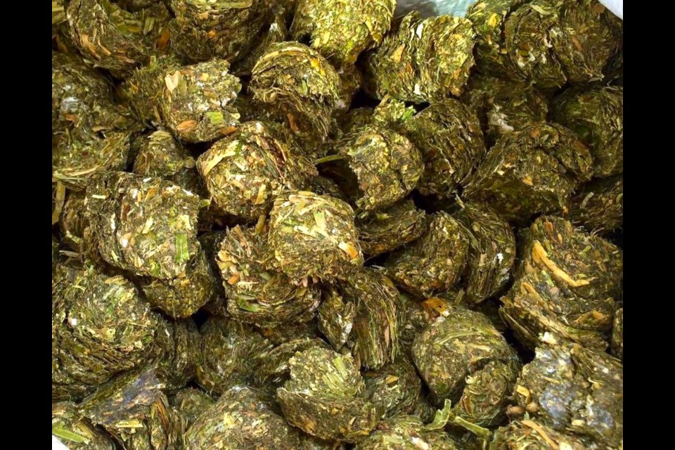 Danco Forage OMNIS CP PLUS 50lb (22.72kg) Bag