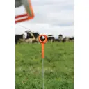 500Wx500H-Ring-Top-Post-on-Reel.webp