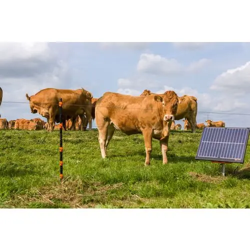 500Wx500H-G361-S400-Solar-Fence-Energizer-Insitu (1).webp
