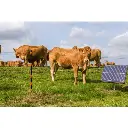 500Wx500H-G361-S400-Solar-Fence-Energizer-Insitu (1).webp