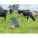 500Wx500H-S200-Portable-cattle-strip-graz-6022.webp