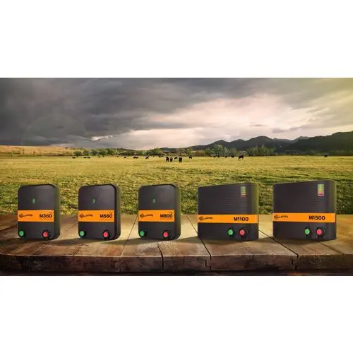 500Wx500H-GNA-Comp-Mid-Range-Energizers.webp