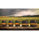 500Wx500H-GNA-Comp-Mid-Range-Energizers.webp