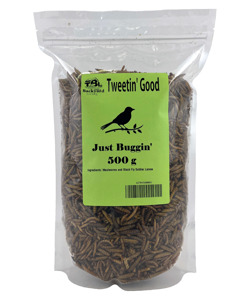 Tweetin' Good-Just Buggin'