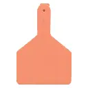 cow_tag_orange_1.webp