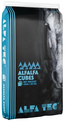 ALFA-TEC Alfalfa Cubes (20 kg bag)