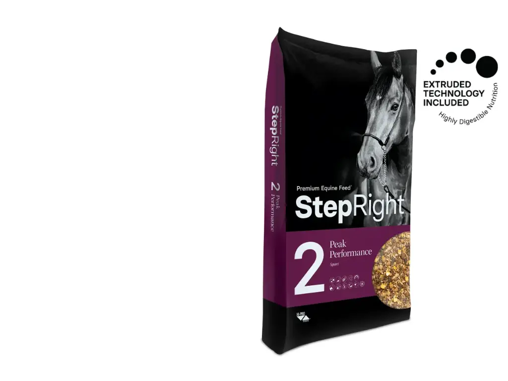 StepRight 2 - Peak Performance