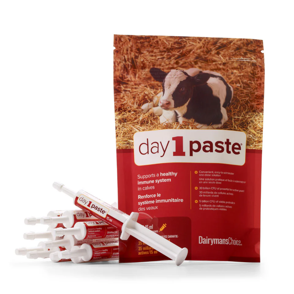 Dairymans Choice - Day 1 Paste (10x 15ml Tubes)