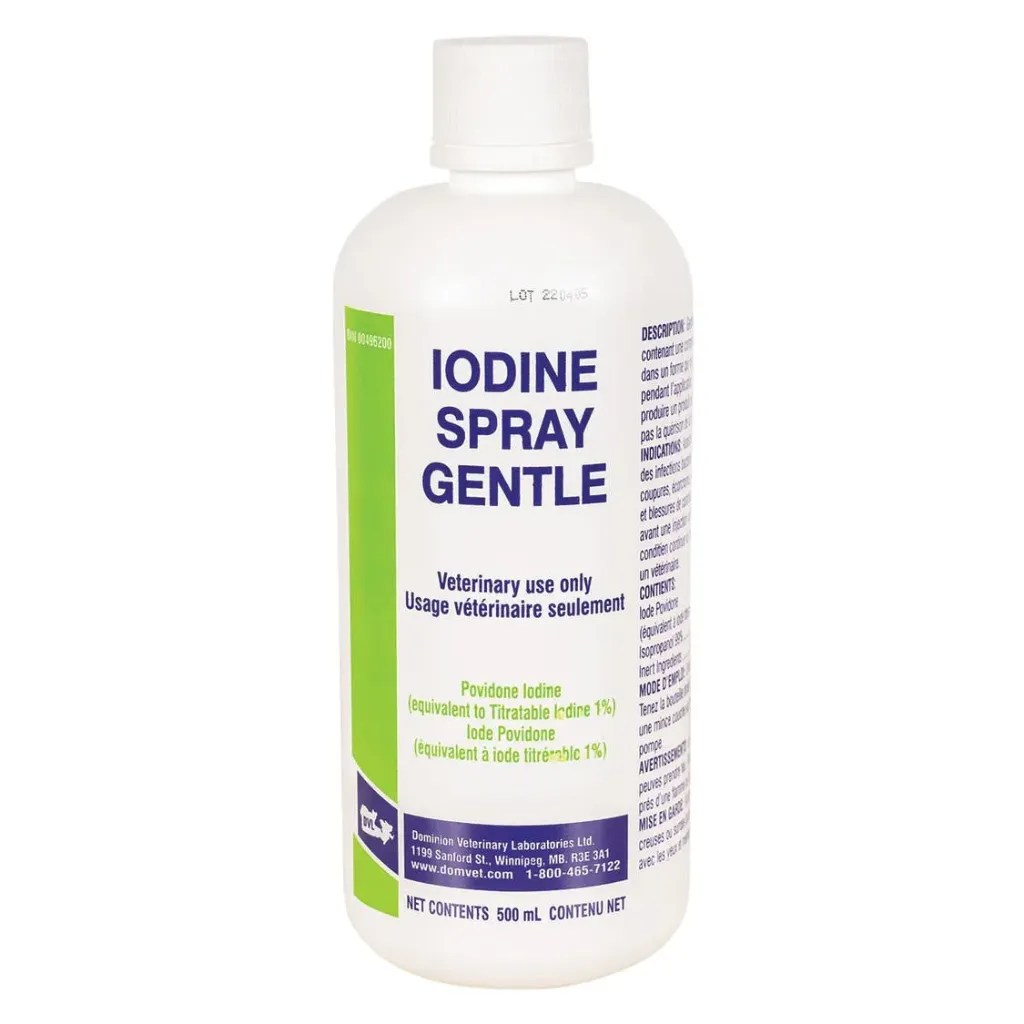 [002-583] DVL Iodine Spray 1% 500ml