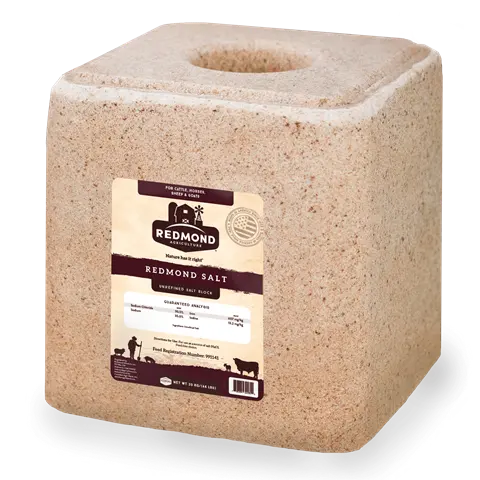 Redmond - Natural Saltblock 20kg 
