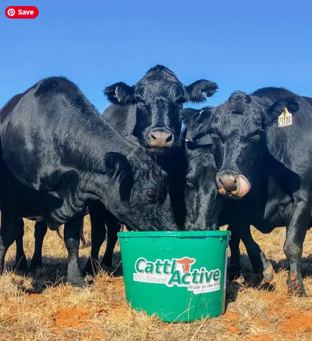 CattlActive 20% All Natural Tub 250lb (SO*)