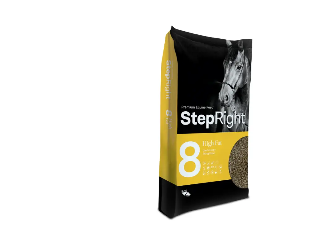 [17188835] StepRight 8 - High Fat / Cool Energy 15kg
