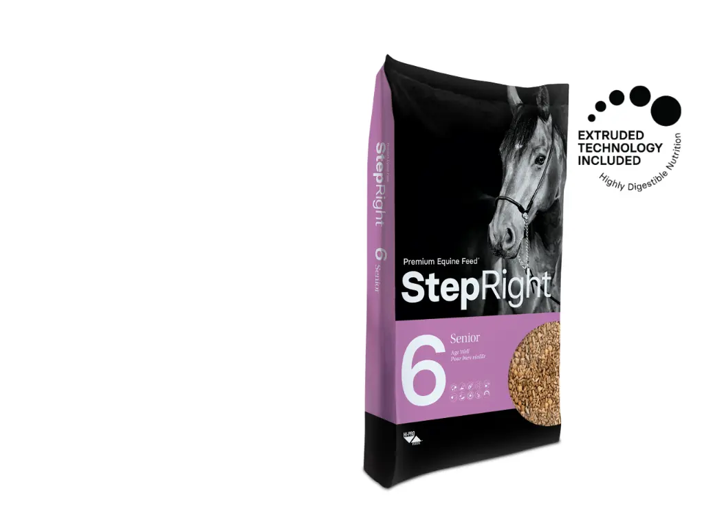 [17188875] StepRight 6 - Age Well (Senior Horse) 20Kg