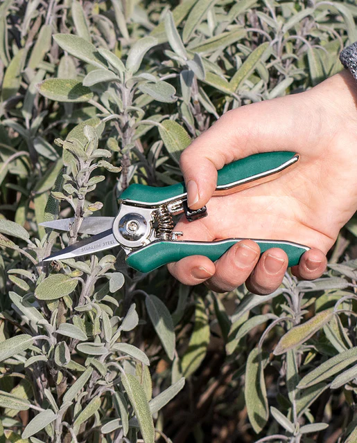 Pinebush Precision Trimmer Pruner