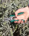 Pinebush Precision Trimmer Pruner