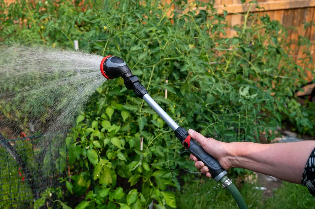 [23361] Pinebush 18" 10 Pattern Thumb Control Watering Wand